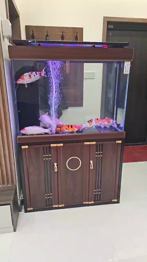 歐鉑龍魚缸怎么樣