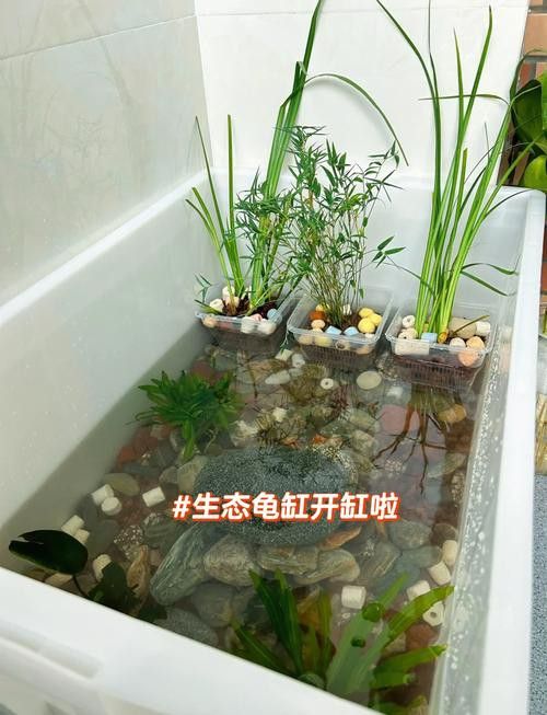 推薦幾款適合魚缸的龍龜擺件