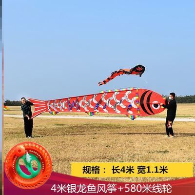 銀龍魚2023市場價（2023年銀龍魚價格概況）
