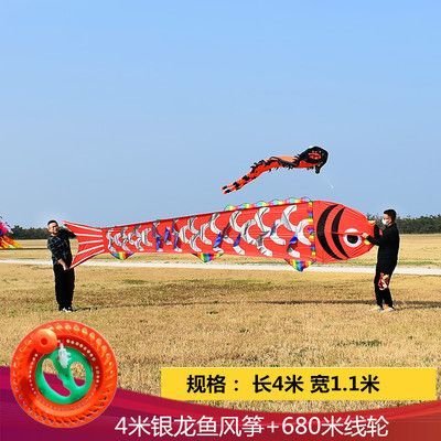 銀龍魚2023市場價（2023年銀龍魚價格概況）