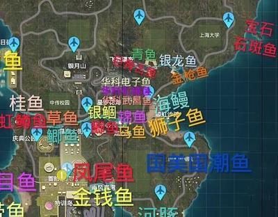 銀龍魚2023市場價（2023年銀龍魚價格概況）