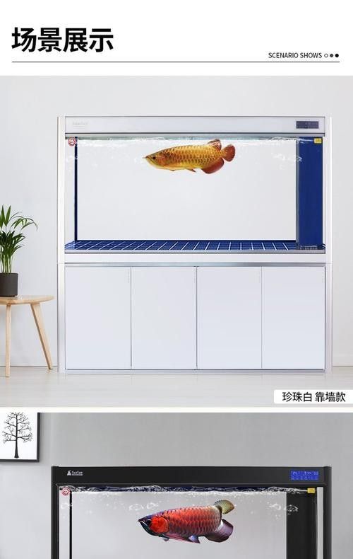 龍魚缸設計