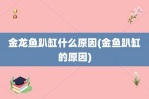 金龍魚趴缸是怎么回事：金龍魚趴缸底可能由多種原因引起金龍魚趴缸底是咋回事