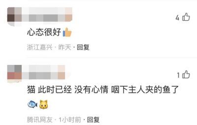 龍魚抖動身體的原因（龍魚抖動身體可能是由多種因素引起）