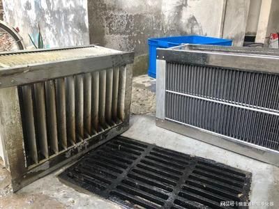 龍魚發色解說圖片高清大圖：紅龍魚發色階段圖片對比龍魚發色影響因素詳解