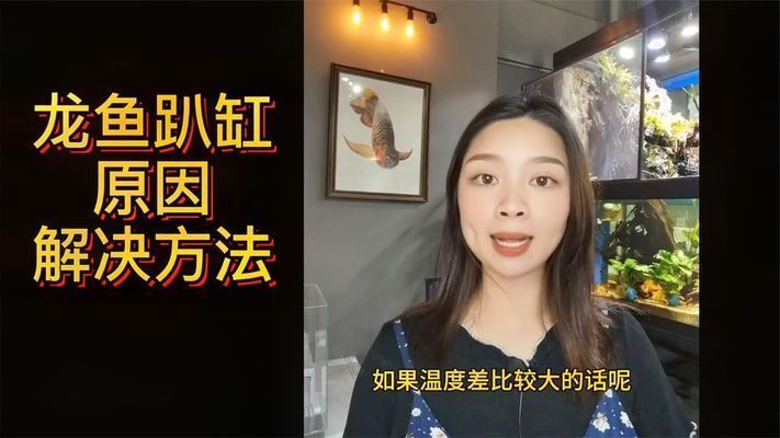 新龍魚趴缸怎么處理視頻：處理新龍魚趴缸的方法