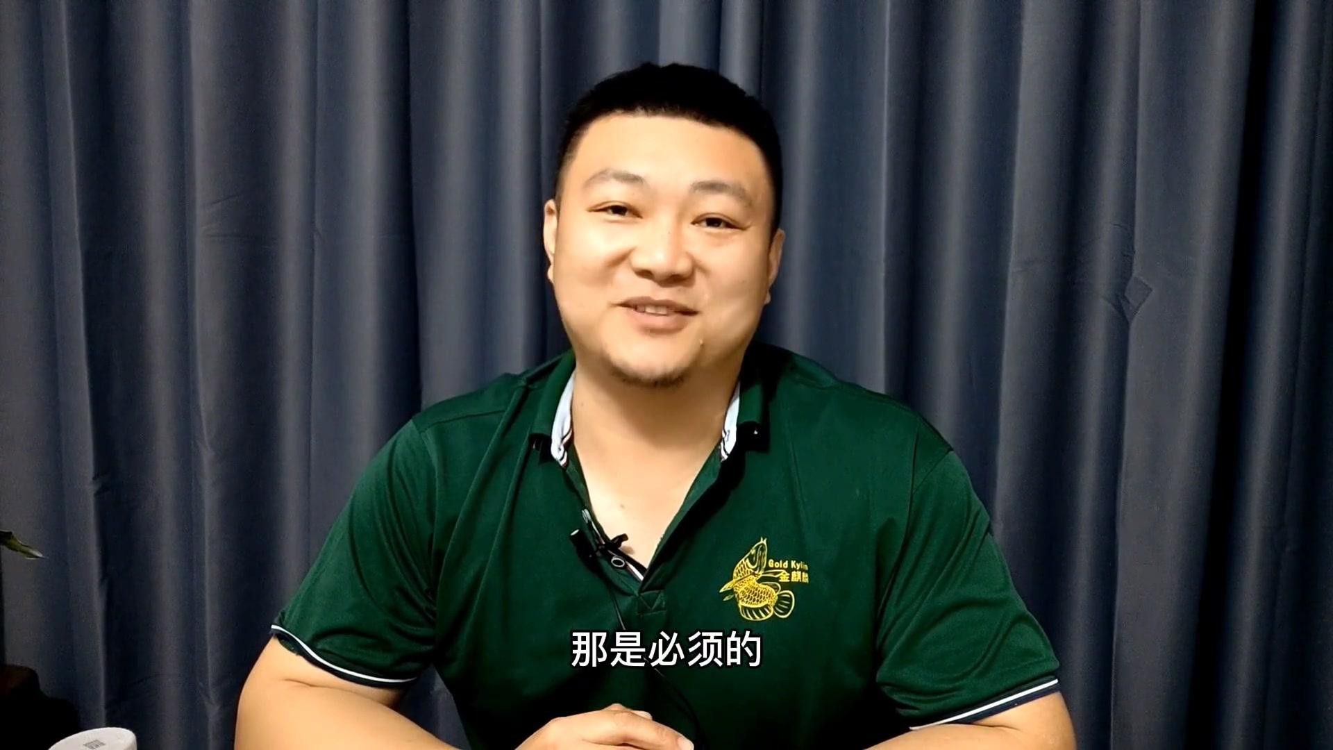 如何挑選適合初學者的龍魚