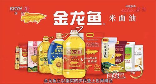 金龍魚的起源和歷史（金龍魚在自然界中是一種古老的魚類）