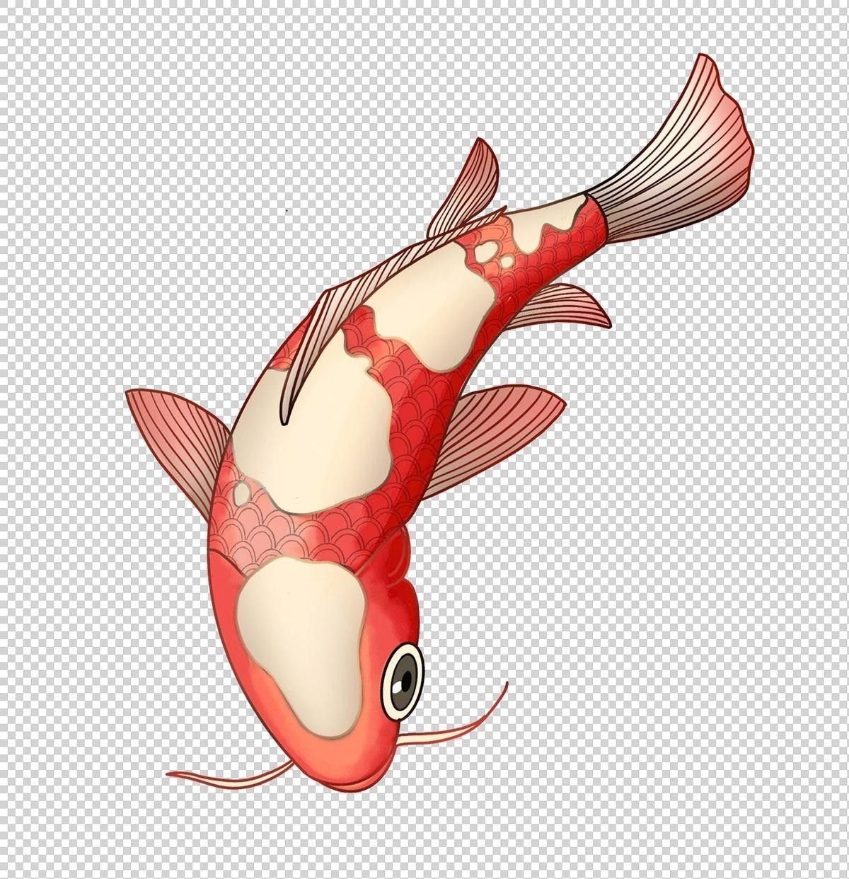 銀龍魚眼睛有白色絮狀物體圖片