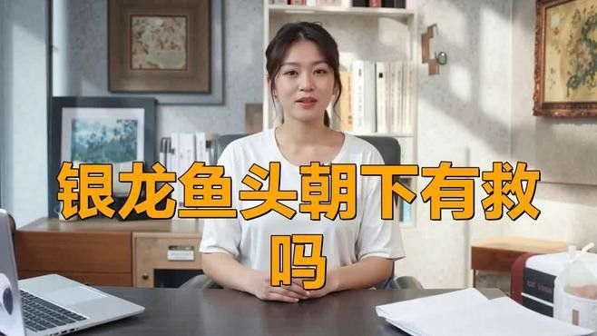 銀龍魚頭朝下怎么回事