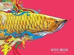 龍魚圖片大全圖片高清壁紙可愛卡通動漫