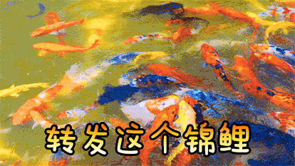 龍魚圖片大全圖片高清壁紙可愛卡通動漫