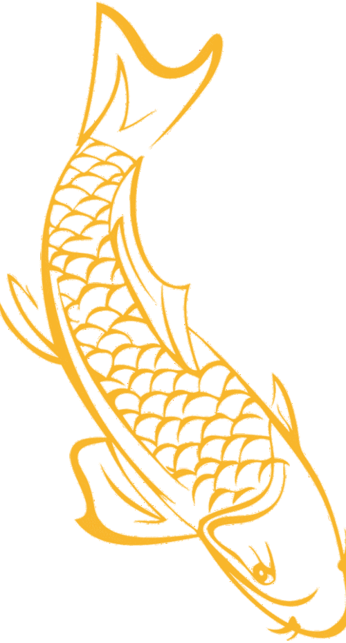 龍魚圖片大全圖片高清壁紙可愛卡通動漫