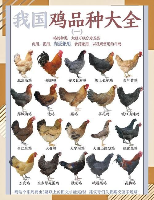 推薦一些輕松愉快的養雞養龍小說