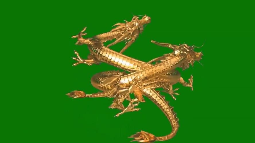 有沒有金龍圖片拍攝模板？