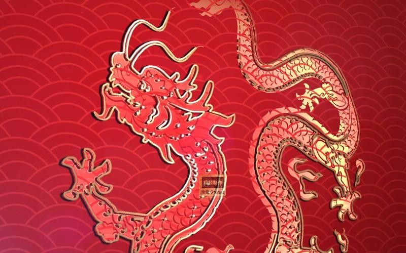 有沒有金龍圖片拍攝模板？