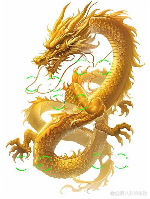 有沒有金龍圖片拍攝模板？