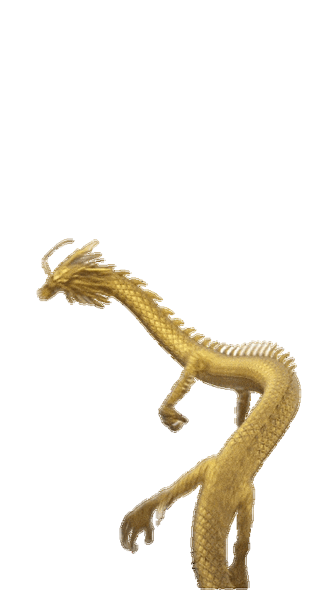 有沒有金龍圖片拍攝模板？