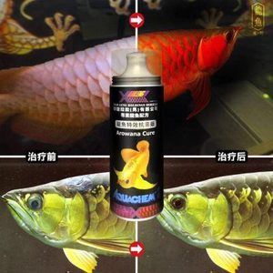 龍魚器官病毒感染（龍魚可能感染的器官病毒）