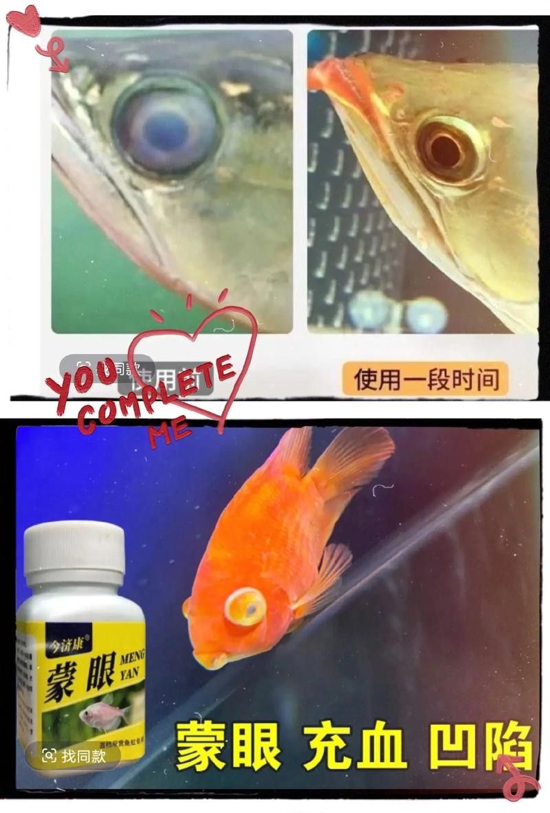 龍魚眼邊有白色物質(zhì)怎么辦啊圖片