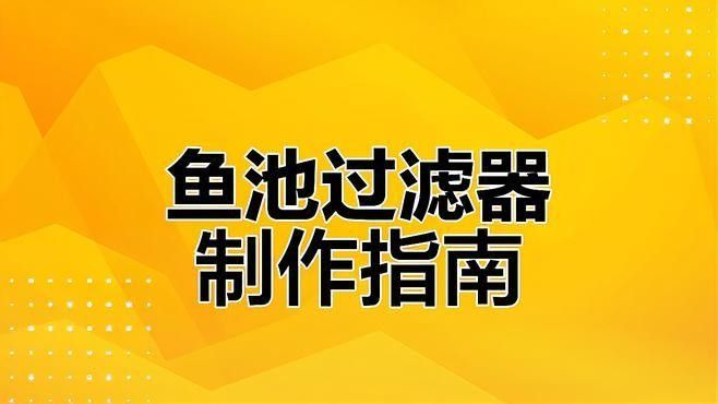 龍魚用什么缸養(yǎng)比較好看