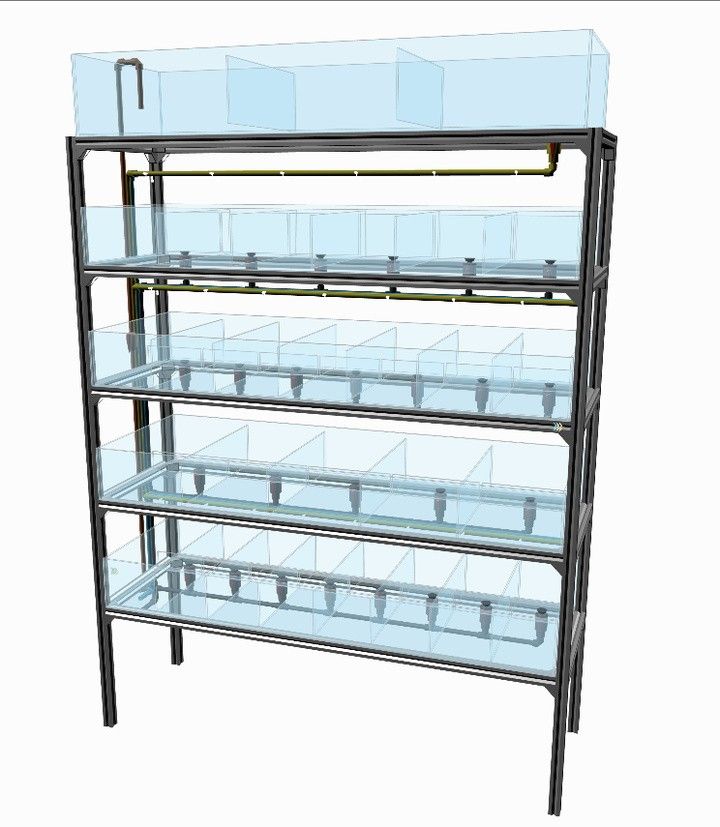 龍魚用什么缸養(yǎng)比較好看