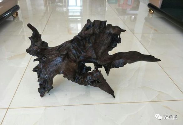 龍魚缸放沉木好還是杜鵑根好：沉木和杜鵑根哪個好