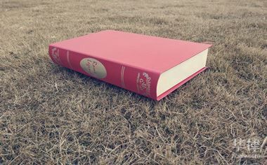 補辦芯片證書需要多長時間？