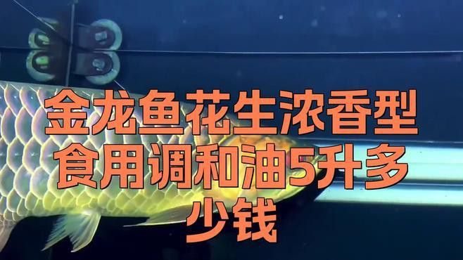 金龍魚濃香型食用植物調和油的價格