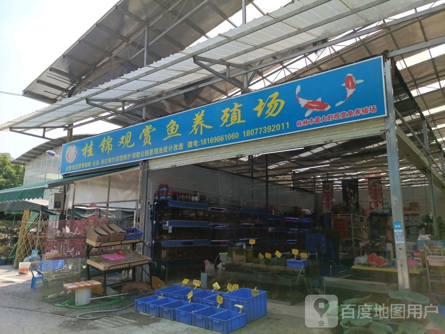 桂林龍魚養殖基地在哪里