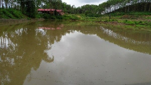 桂林龍魚養殖基地在哪里