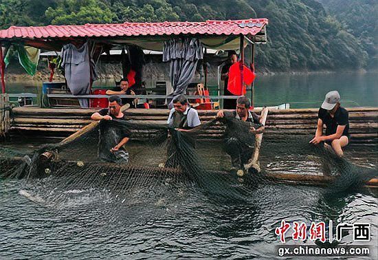 桂林龍魚養殖基地在哪里
