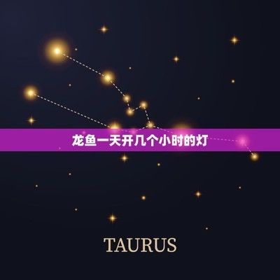 龍魚開燈多久，如何選擇龍魚的開燈時間