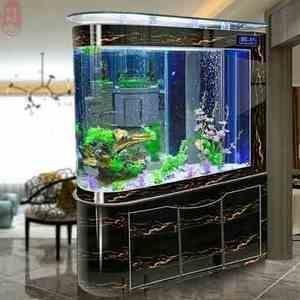 龍魚缸不養(yǎng)龍魚可以養(yǎng)什么：龍魚缸養(yǎng)殖小型魚類介紹：龍魚缸養(yǎng)殖小型熱帶魚技巧