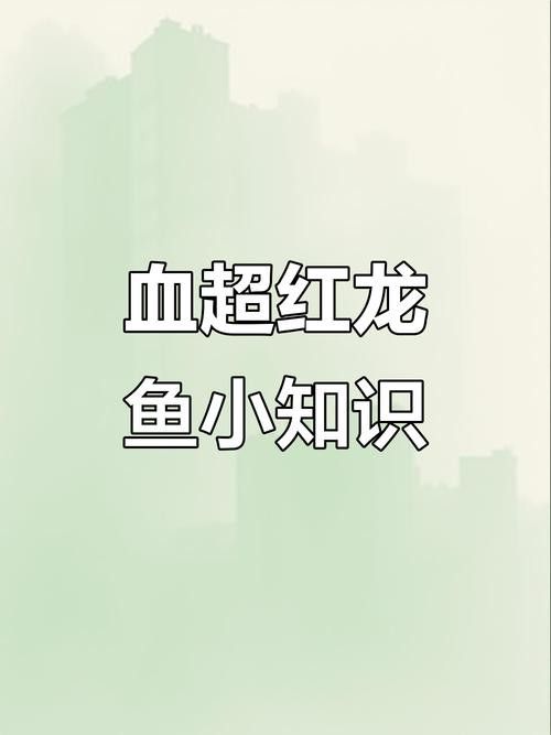 什么紅龍魚最好看好養活