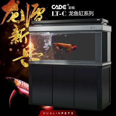 彩蝶魚缸專賣店地址（彩蝶魚缸專賣店營業時間）