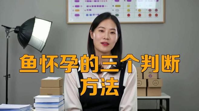 如何判斷粉色龍魚是否懷孕？