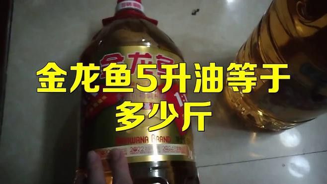 1.8升金龍魚是多少斤