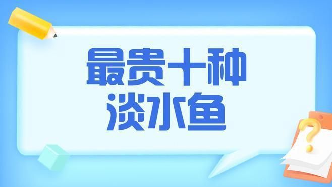 十大最貴魚第一名