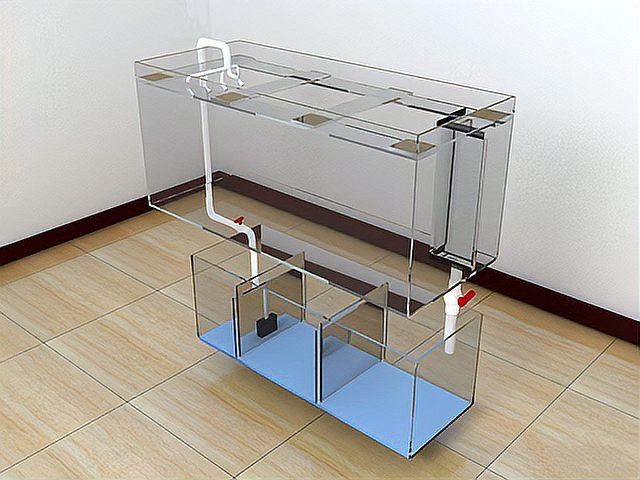 養龍魚底濾用什么濾材比較好