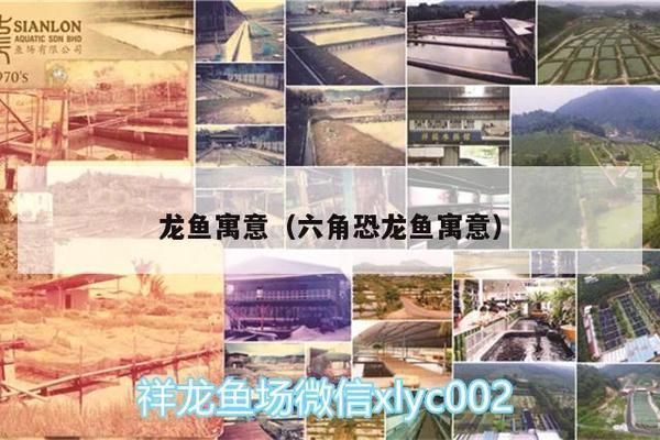 六角恐龍魚什么寓意：六角恐龍魚在中國文化中的歷史淵源