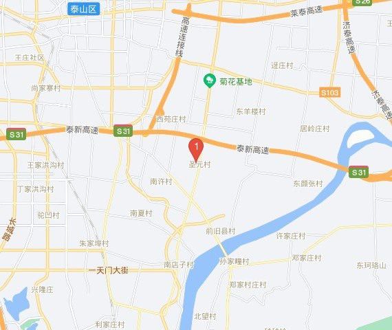 泰安龍魚批發市場在哪里有 泰安龍魚批發市場在哪里有 龍魚百科 第1張