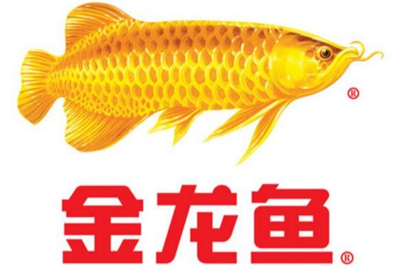 金龍魚所有油產品有幾種