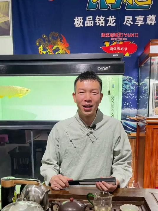 龍魚苗需要多大的魚缸？
