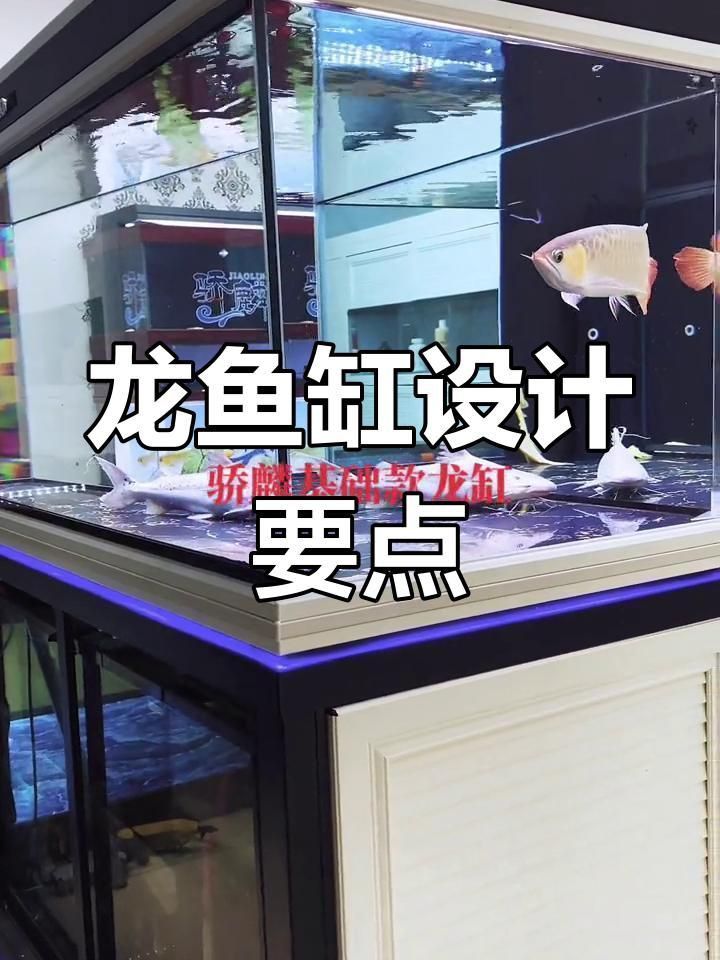龍魚缸布置技巧詳細步驟