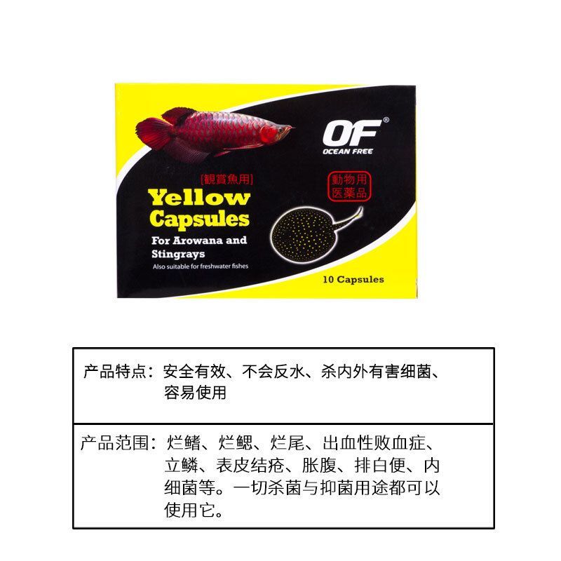 龍魚抗菌藥有哪些：龍魚在養(yǎng)殖中常用的抗菌藥物