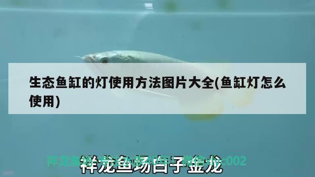 最好的龍魚缸品牌（2024年最好的龍魚缸品牌性價比排行森森龍魚缸用戶評價）