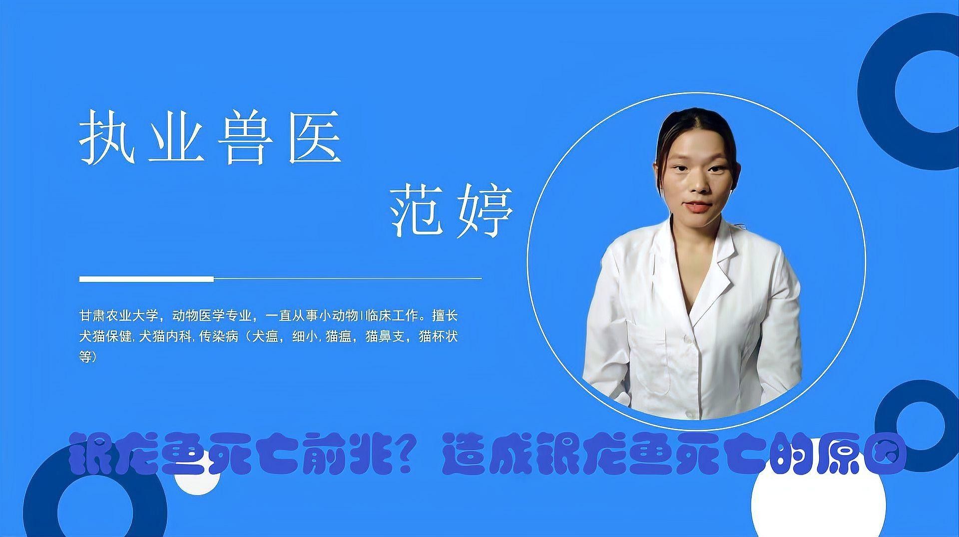 銀龍魚死亡過程