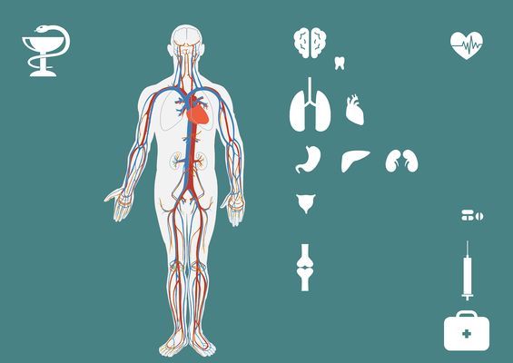 申古三間魚常見疾病的早期癥狀：如何判斷申古三間魚是否患腸炎