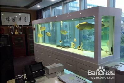 龍魚缸水質不好怎么處理方法